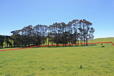 Property 31 Johns Hill Road, IRISHTOWN TAS 7330 IMAGE 0