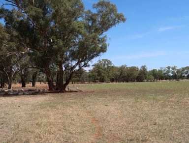 Property 20 Campbells Lane, Coolamon NSW 2701 IMAGE 0