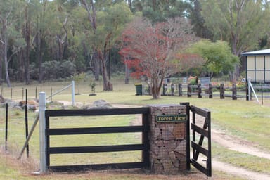 Property 445 Old Stannifer Rd Gilgai, Inverell NSW 2360 IMAGE 0