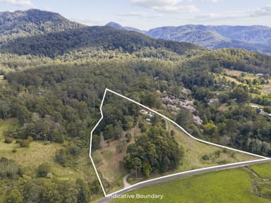 Property 542 Gordonville Road, BELLINGEN NSW 2454 IMAGE 0