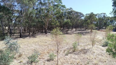 Property 1 Corner Wimmera Highway & Carr Road, St Arnaud VIC 3478 IMAGE 0