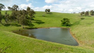 Property 75 Blush Road, GUYRA NSW 2365 IMAGE 0