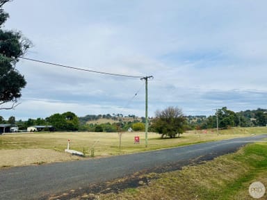 Property Lot 1,2 & 3 Pine Lane, Tumbarumba NSW 2653 IMAGE 0