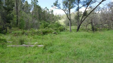 Property Lot 25 Rocky River Road, Rocky River NSW 2372 IMAGE 0