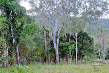 Property Lot 3 Hoffmans Road, Netherby QLD 4650 IMAGE 0