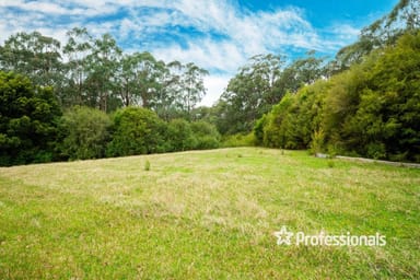 Property 1795 Woods Point Road, Mcmahons Creek VIC 3799 IMAGE 0