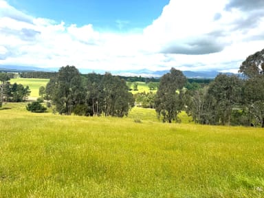Property 1190 Mansfield Woods Point Road, PIRIES VIC 3723 IMAGE 0