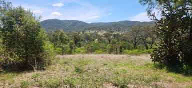 Property Lot 23 Leathers Road, BOOLBOONDA QLD 4671 IMAGE 0