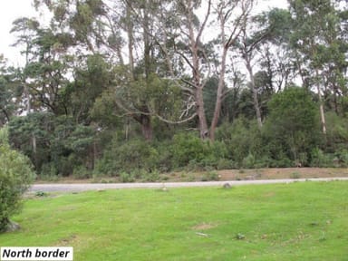 Property 755 Lottah Road, Lottah TAS 7216 IMAGE 0