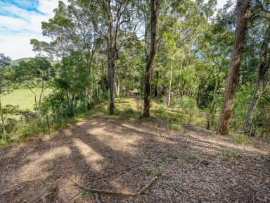 Property 38 Wooyung Road, Wooyung NSW 2483 IMAGE 0