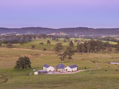 Property 537 Glen William Road, GLEN WILLIAM NSW 2321 IMAGE 0