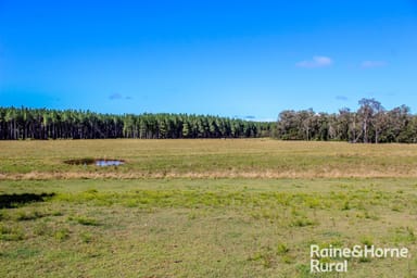 Property 315 Myrtle Creek Road, MYRTLE CREEK NSW 2469 IMAGE 0