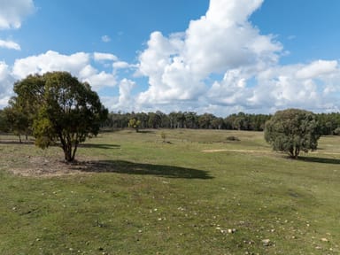 Property Mullion Creek NSW 2800 IMAGE 0