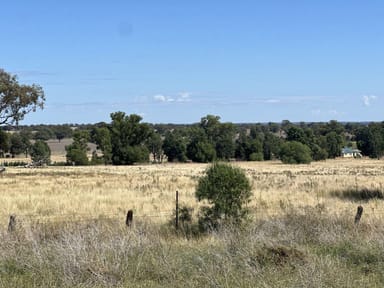 Property 48 Furners Lane, TREWILGA NSW 2869 IMAGE 0