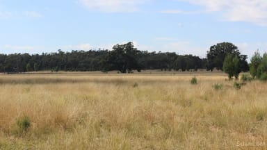 Property 260 Dilladerry Road, Tomingley NSW 2869 IMAGE 0