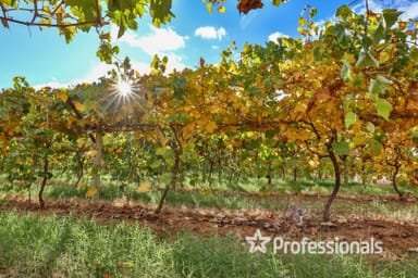 Property Lot 2/ Myall Street, Cardross VIC 3496 IMAGE 0