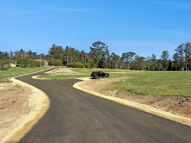 Property 93 Boggy Creek Road, Millingandi NSW 2549 IMAGE 0
