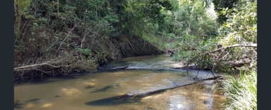 Property Lot 1 Ellerbeck Road, CARRUCHAN QLD 4816 IMAGE 0