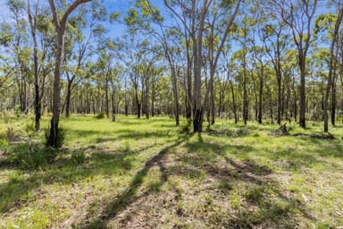 Property 13 Prawle Street, Howard QLD 4659 IMAGE 0