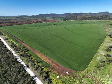 Property 118 Gratti Valley Road, NARRABRI NSW 2390 IMAGE 0