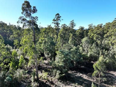 Property Lot 2 Harland Rise Road, Paradise TAS 7306 IMAGE 0