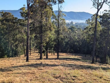 Property Lot 17, 127 APPALOOSA DRIVE, CONONDALE QLD 4552 IMAGE 0