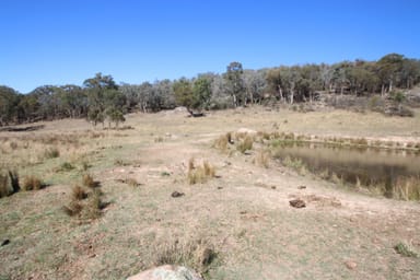 Property 203 Woodside Road, Tenterfield NSW 2372 IMAGE 0