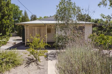 Property 20 Butler Street, Narrogin WA 6312 IMAGE 0