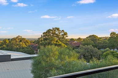 Property 127, 351F Hume Highway, Bankstown NSW 2200 IMAGE 0