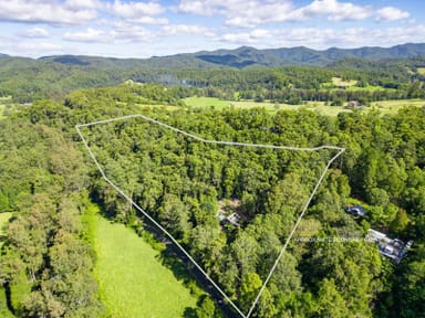 Property 803 Summervilles Rd Thora, BELLINGEN NSW 2454 IMAGE 0