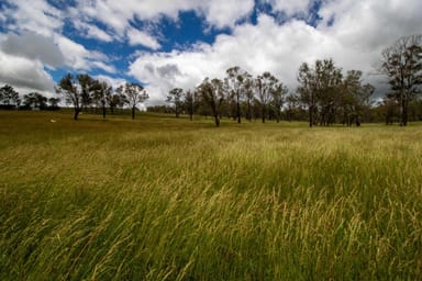 Property 140 Ohio North Road, WALCHA NSW 2354 IMAGE 0