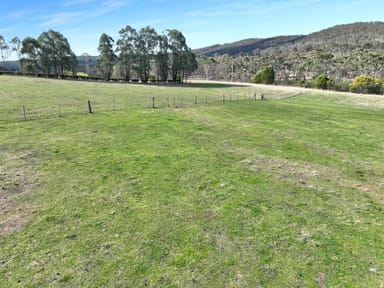 Property 60 Bucky Springs Road, BOMBALA NSW 2632 IMAGE 0