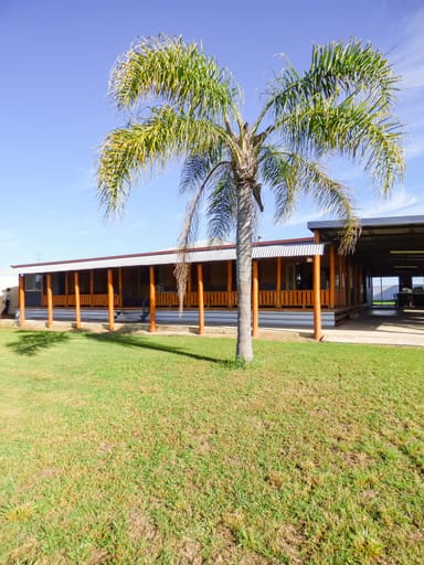 Property 123 Warooby Lane, ROMA QLD 4455 IMAGE 0