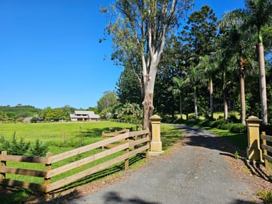 Property 517 FRIDAY HUT ROAD, BROOKLET NSW 2479 IMAGE 0