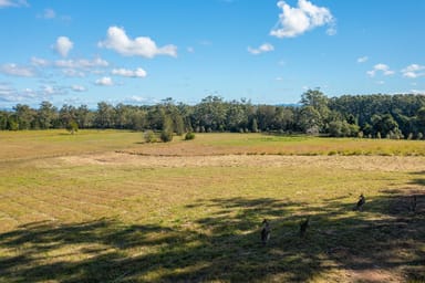 Property Lot 95 Provence Close, Sancrox NSW 2446 IMAGE 0