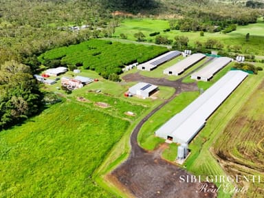 Property 1004 Bilwon Road, Biboohra QLD 4880 IMAGE 0