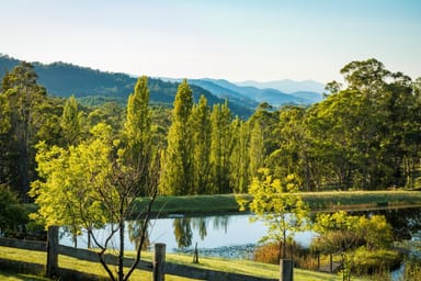 Property 1697 Big Jack Mountain Road, Rocky Hall NSW 2550 IMAGE 0