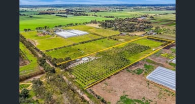Property 1659 Boundary Road, Gawler River SA 5118 IMAGE 0