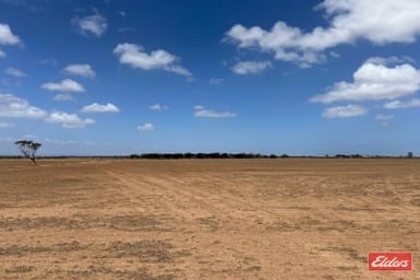 Property Lot 443 Richter Road, Reeves Plains SA 5502 IMAGE 0