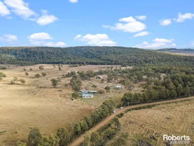 Property 289 New Country Marsh Road, Levendale TAS 7120 IMAGE 0