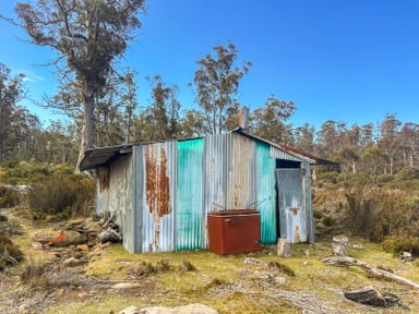 Property 331L Arthurs Lake Road, ARTHURS LAKE TAS 7030 IMAGE 0