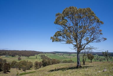 Property 72 Millers Lane, CHATHAM VALLEY NSW 2787 IMAGE 0