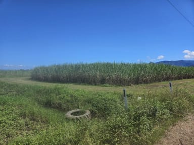 Property 2, Hawkins Creek Road, Hawkins Creek QLD 4850 IMAGE 0