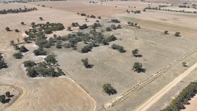 Property Lot 1, Womboota Rd, Womboota via Moama, NSW 2731, WOMBOOTA NSW 2731 IMAGE 0