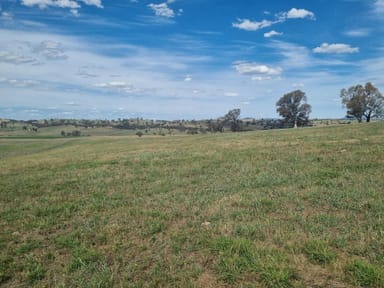 Property 3 Cooney's Creek Road, Jugiong NSW 2726 IMAGE 0