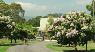 Property 844C Kangaroo Valley Road, Bellawongarah NSW 2535 IMAGE 0