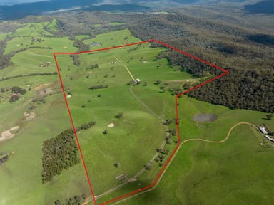 Property 101 Yellow Creek Road, TAGGERTY VIC 3714 IMAGE 0