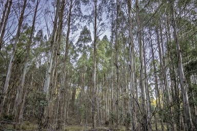 Property JUDBURY TAS 7109 IMAGE 0