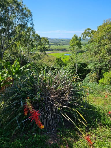 Property 53 Wright Road, Grasstree Beach QLD 4740 IMAGE 0