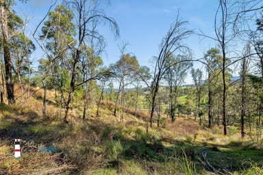 Property Lot 20, Lot 21, Lot And Lot 25 Cowdery Street, Cobargo NSW 2550 IMAGE 0